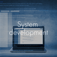 System development
