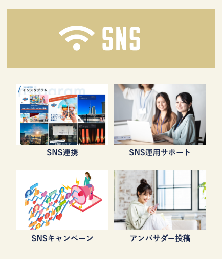 SNS