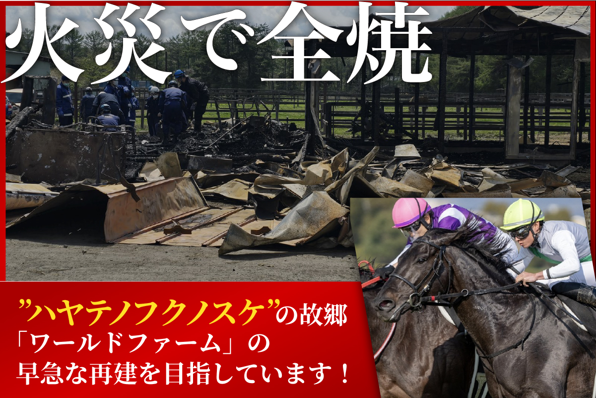 火災で全焼した名馬の牧場「ワールドファーム」再建へ！クラウドファンディング始動【つながりファンディング無償制作支援】