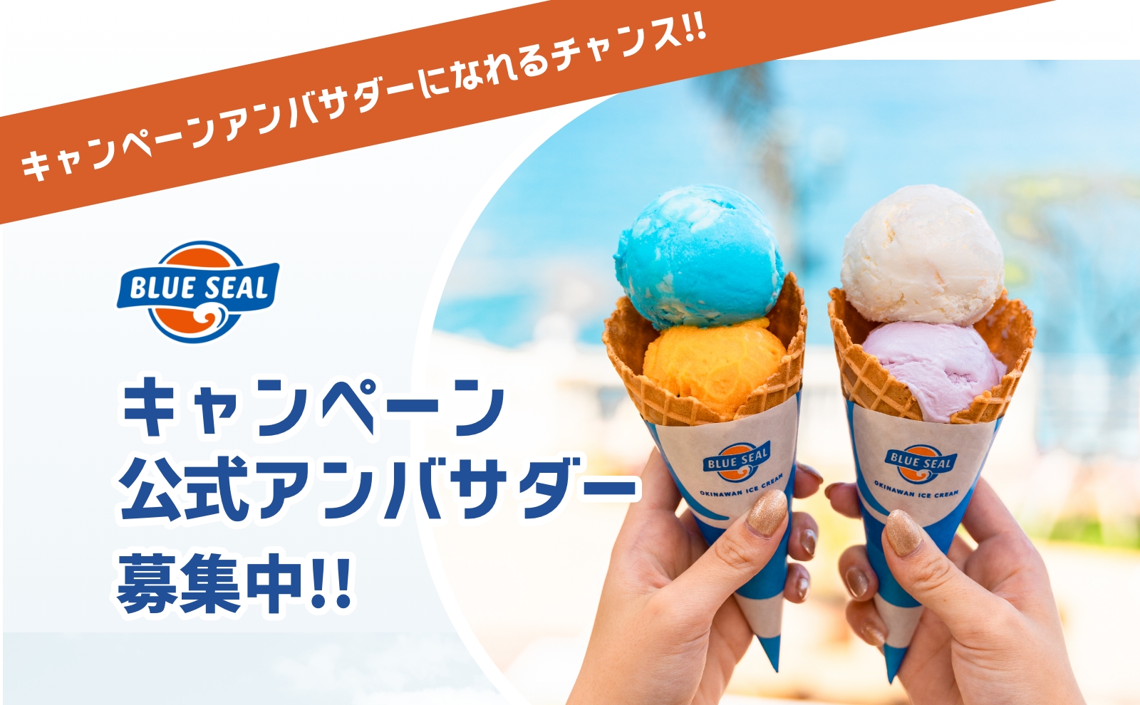 ブルーシール(BLUE SEAL)キャンペーン公式アンバサダー募集を開始！